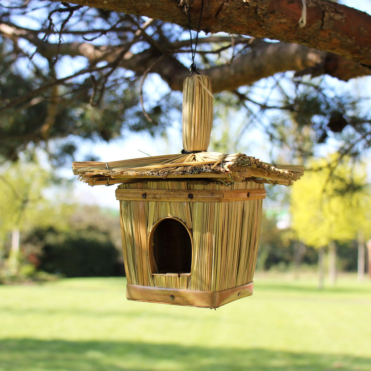 Seagrass Bird Houses