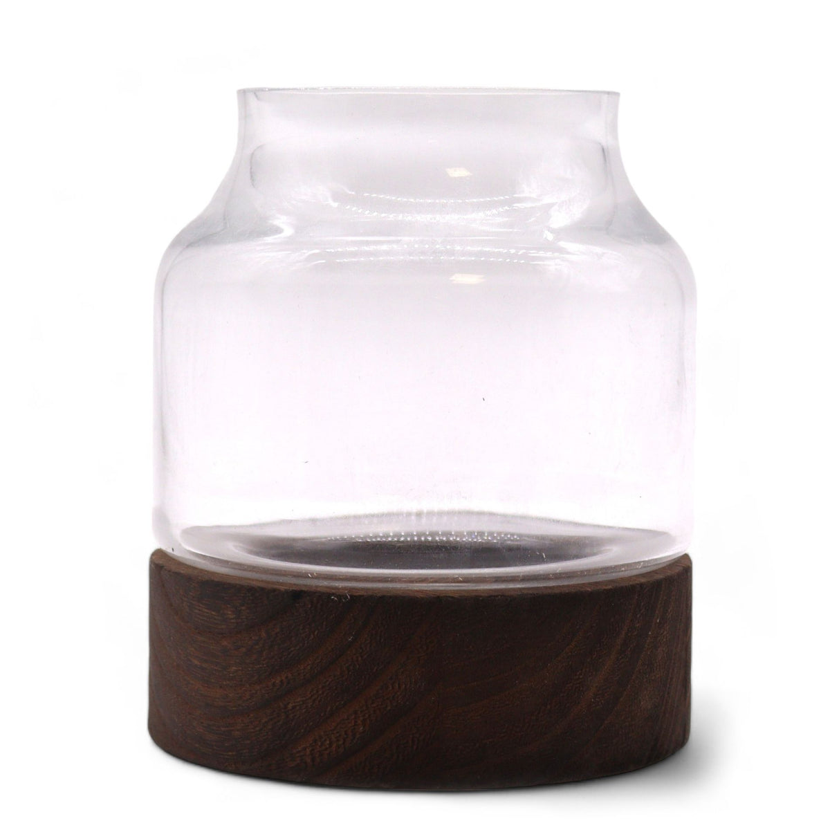 Glass Terrariums